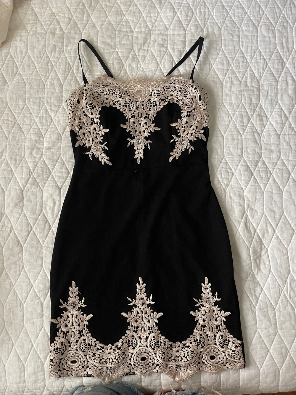 Haute Monde Black Mini Dress with Beige Lace Appliqué